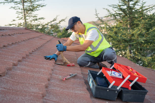 Best Roof Leak Repair  in Macarthur, WV