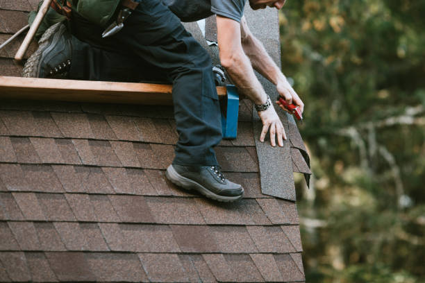 Best Shingle Roofing Installation  in Macarthur, WV